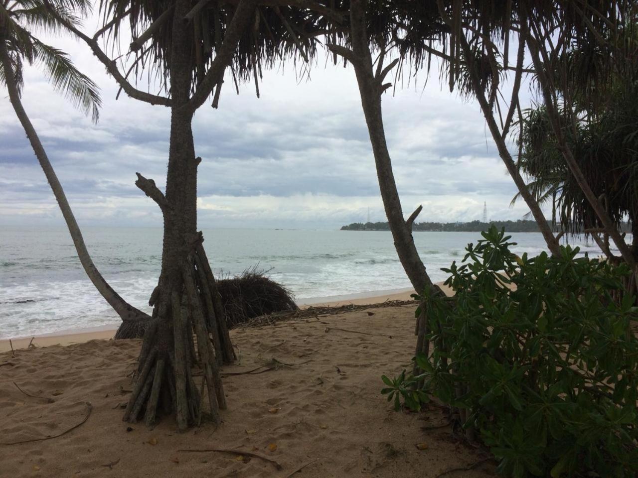 Aloha Beach Resort Tangalle Eksteriør bilde