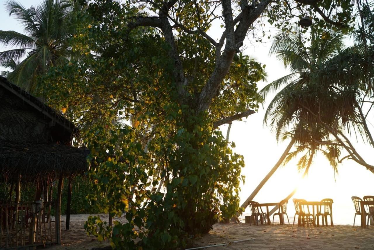 Aloha Beach Resort Tangalle Eksteriør bilde